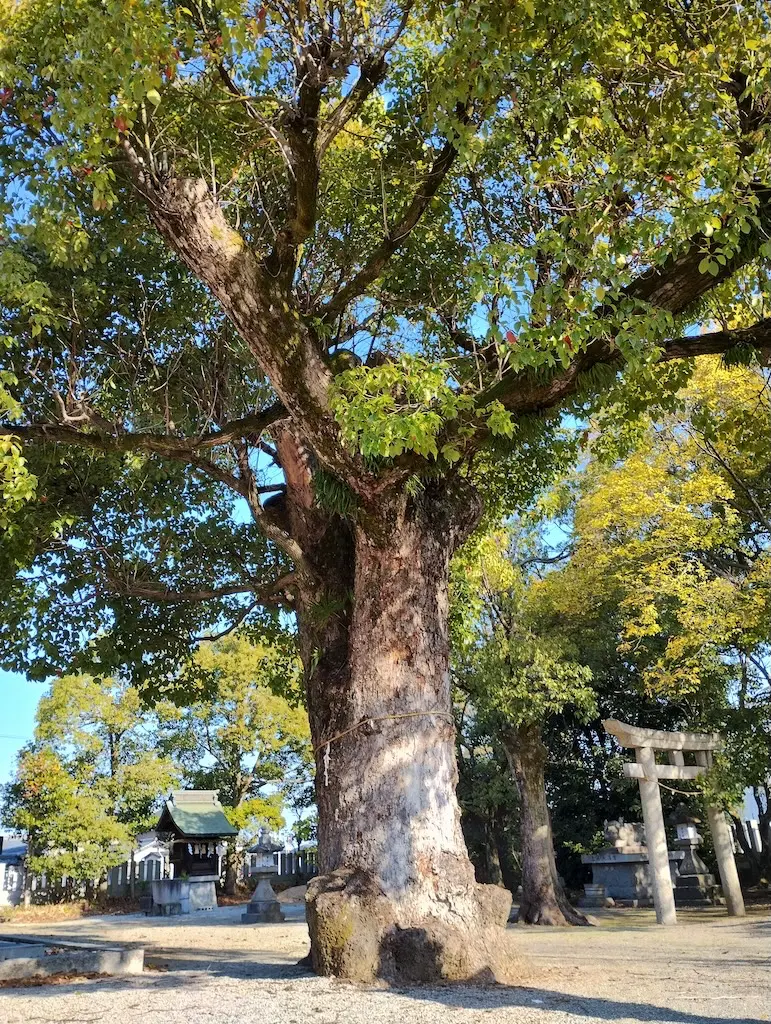 春日神社の歴史的な風景